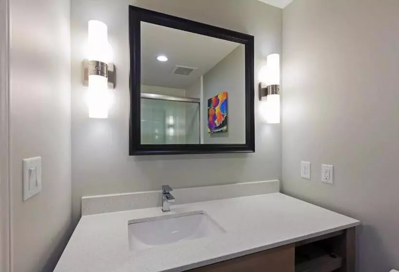 Standard-huone King-vuode, Holiday Inn Houston Ne Bush Airport Area, An Ihg
