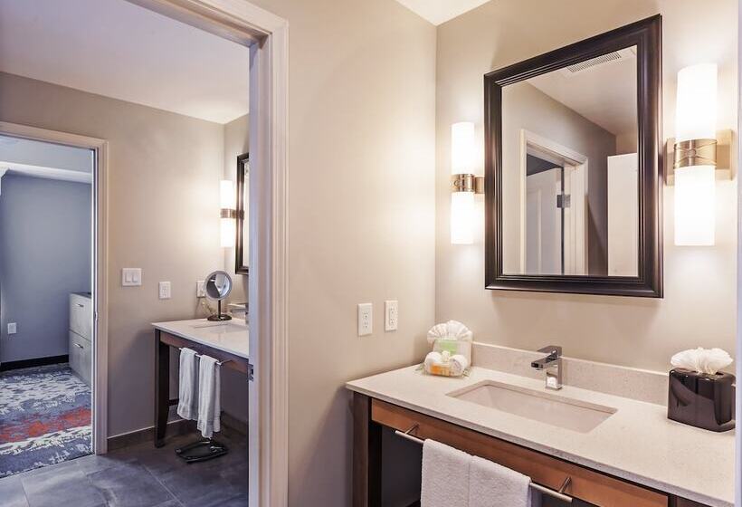 适合残疾人使用的标准间, Holiday Inn Houston Ne Bush Airport Area, An Ihg