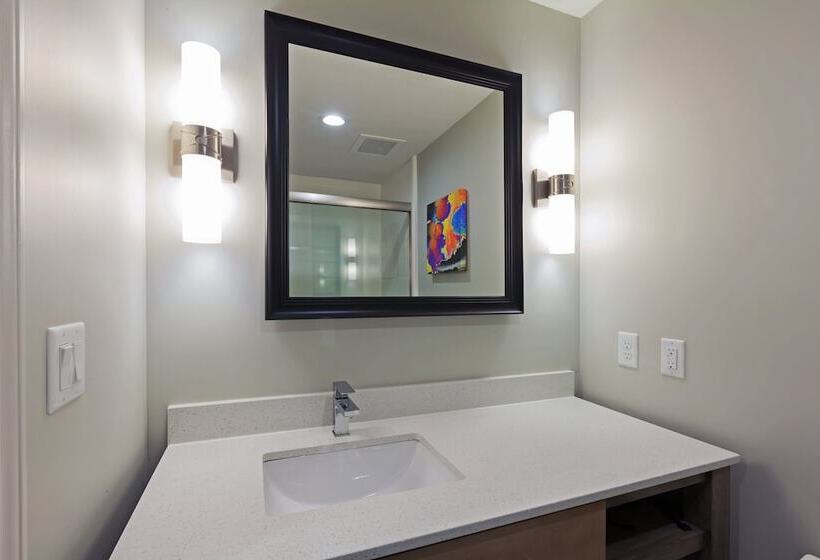 适合残疾人使用的标准间, Holiday Inn Houston Ne Bush Airport Area, An Ihg