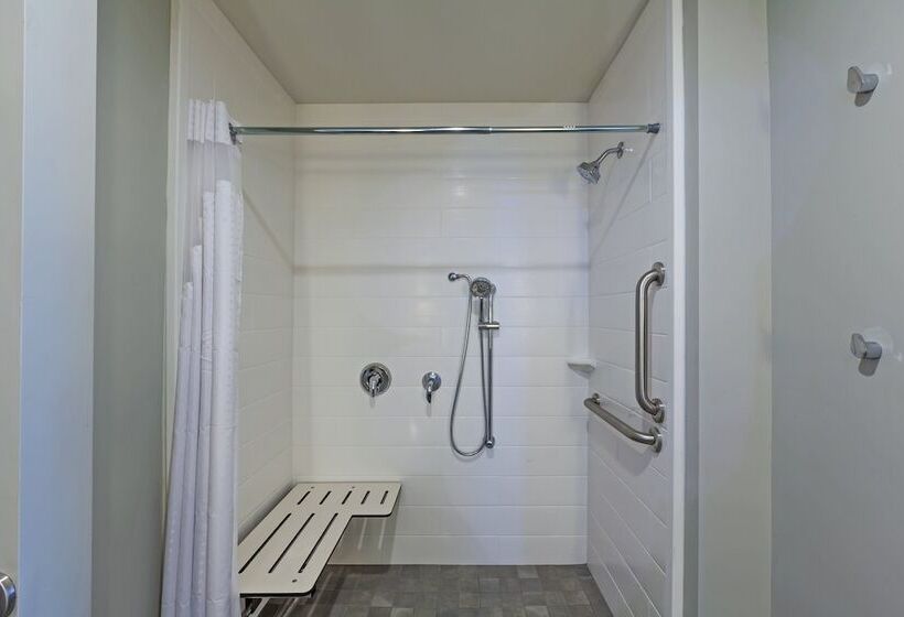 适合残疾人使用的标准间, Holiday Inn Houston Ne Bush Airport Area, An Ihg