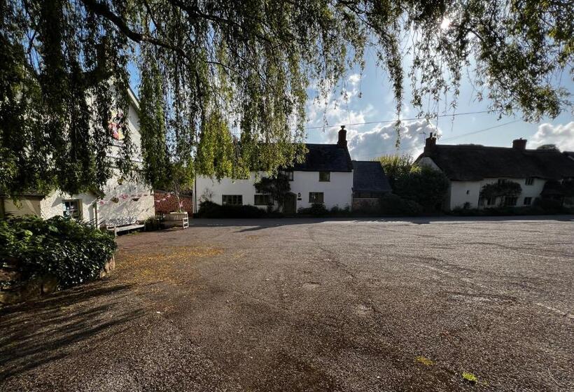 Одноместный Номер Вид на Сад, Notley Arms Inn Exmoor National Park