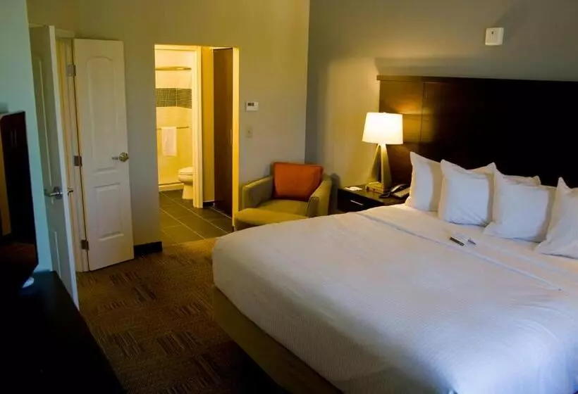 キングサイズベッドのスイートルーム, Staybridge Suites Toledo   Rossford   Perrysburg, An Ihg