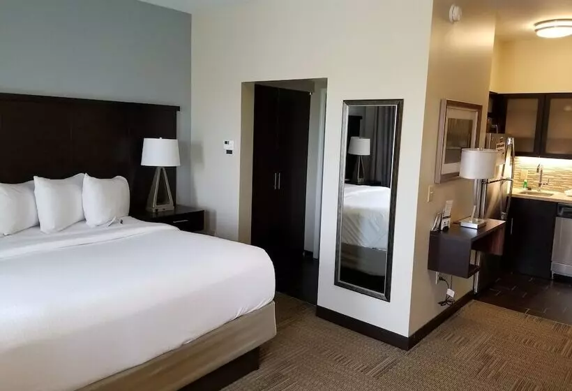 スイート, Staybridge Suites Toledo   Rossford   Perrysburg, An Ihg