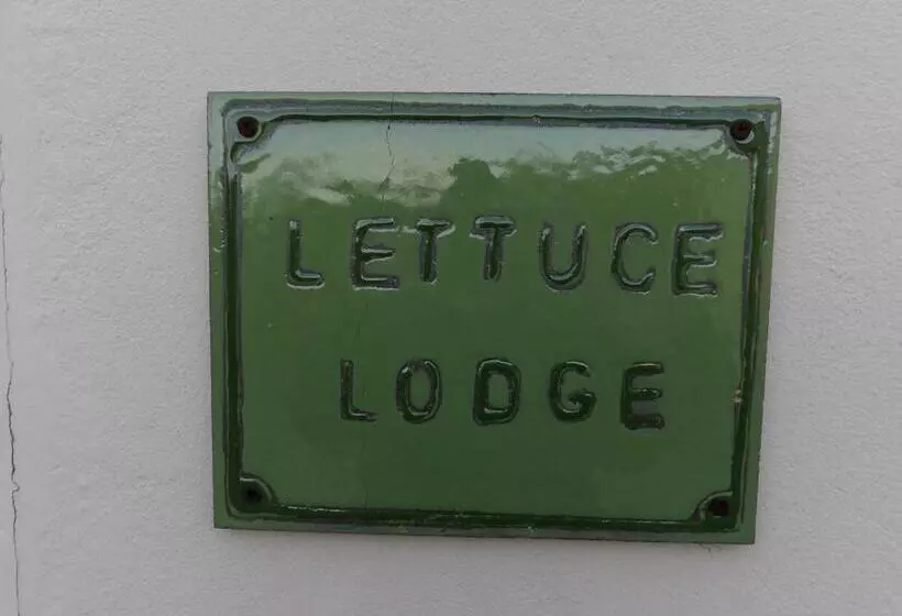 Junior Suite amb Terrassa, Broccoli Bottom