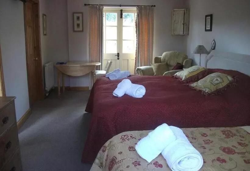 Junior Suite amb Terrassa, Broccoli Bottom
