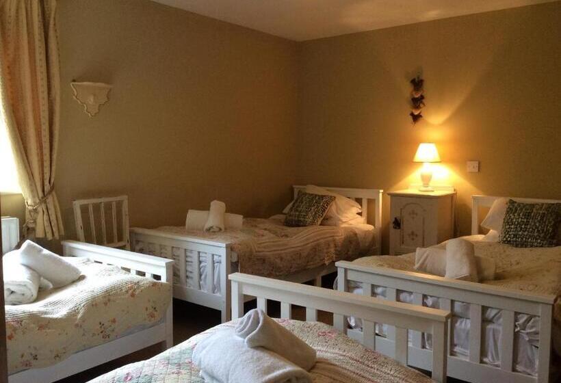 Бунгало Superior, Broccoli Bottom