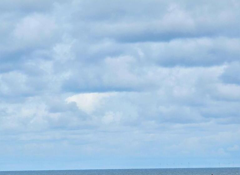 غرفة سوبيريور سرير كينج, Burlington Berties