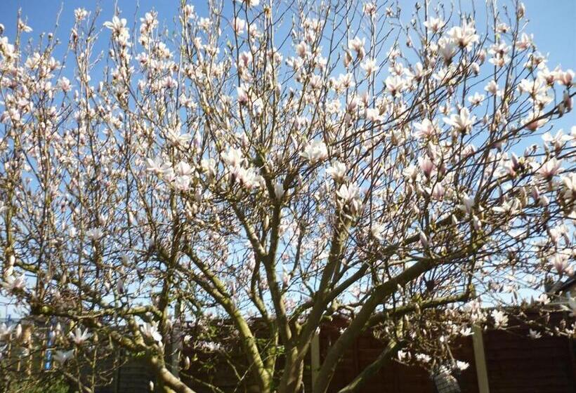 Номер Стандарт Индивидуальный, Calne Bed And Breakfast