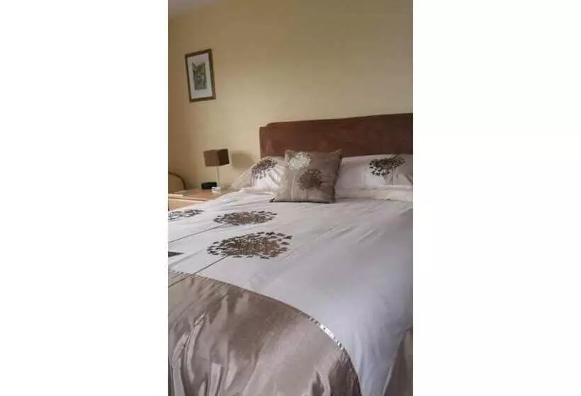 スタンダードルーム, Higher Chapel Farm Bed & Breakfast