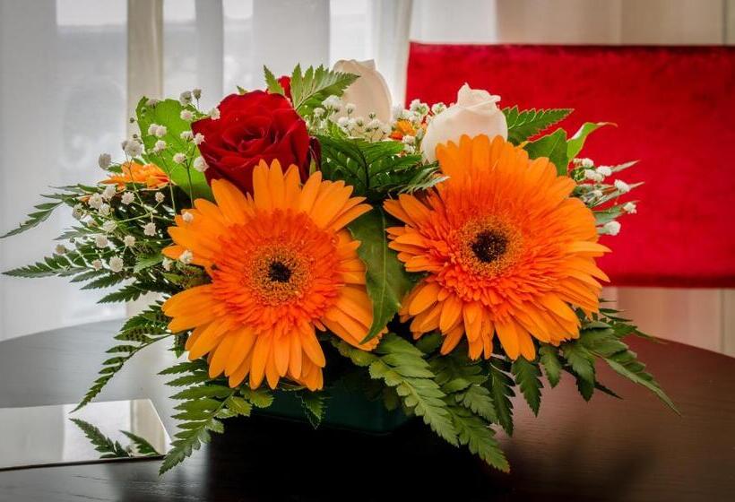 اتاق استاندارد, Behotelisboa