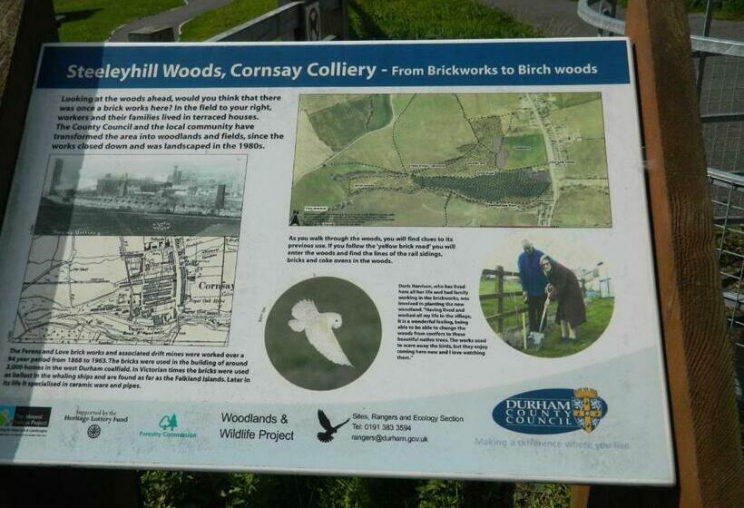 Quarto Estandar, The Royal Oak