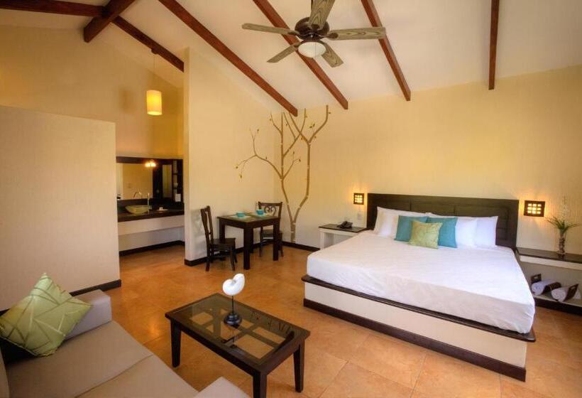 스탠다드 룸 킹사이즈 침대, Boca Olas Resort Villas