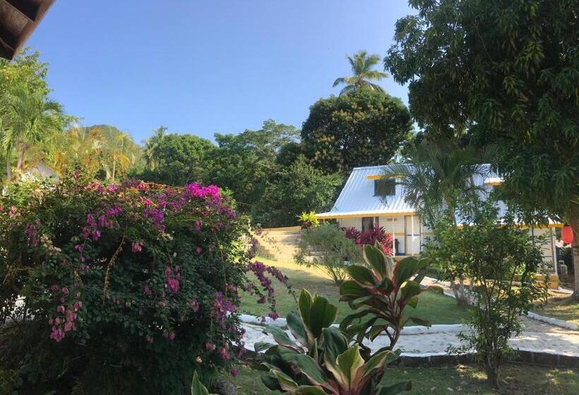 스탠다드 5인객실, Cabañas Agua Dulce