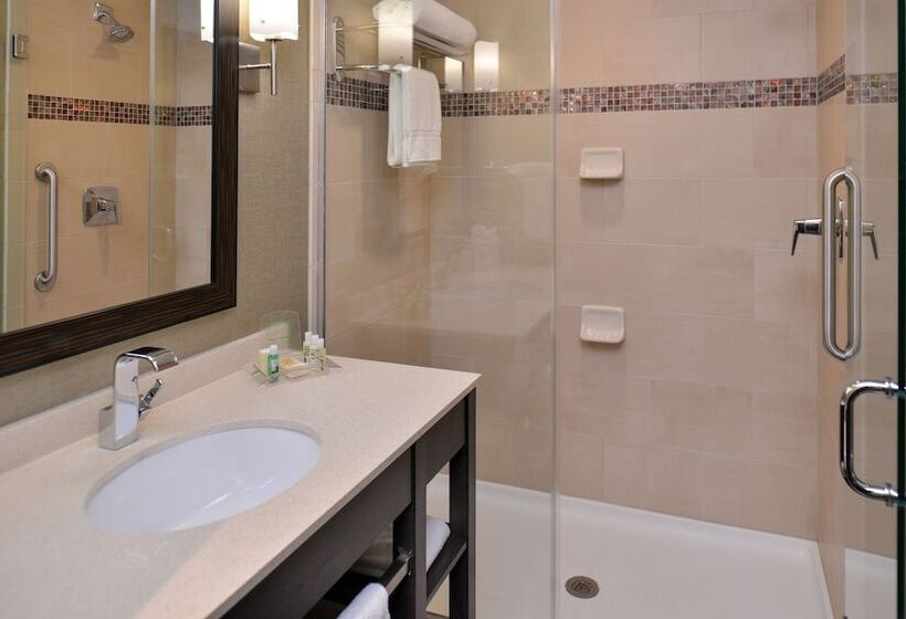 Номер Стандарт Адаптированный для Инвалидов, Crowne Plaza Shenandoah   The Woodlands