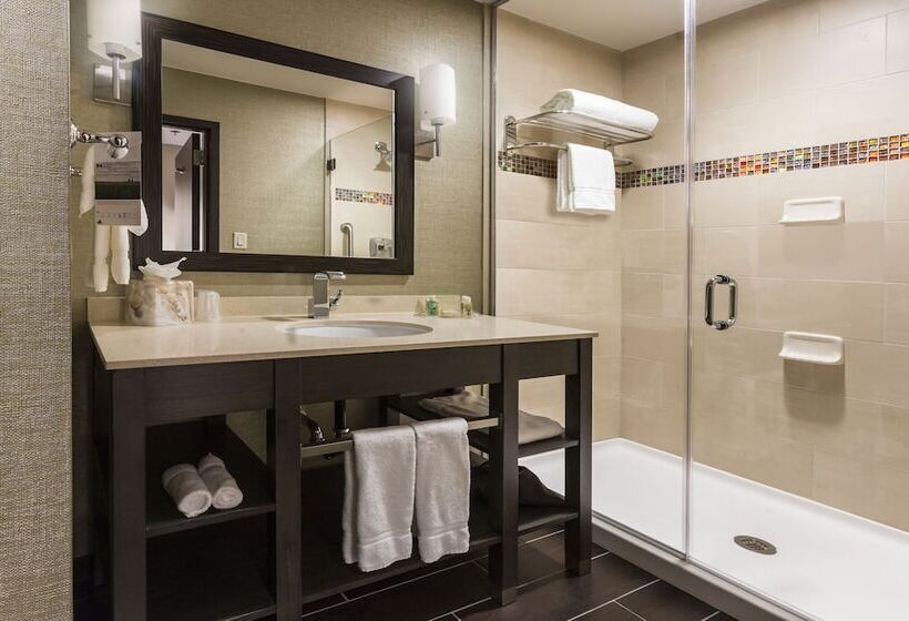 غرفة قياسية لذوى الاحتياجات الخاصة, Crowne Plaza Shenandoah   The Woodlands