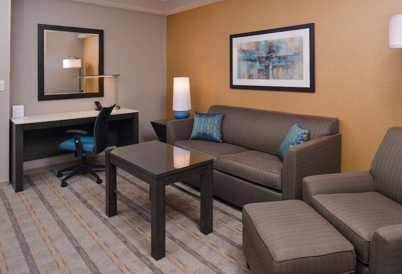 غرفة قياسية لذوى الاحتياجات الخاصة, Crowne Plaza Shenandoah   The Woodlands