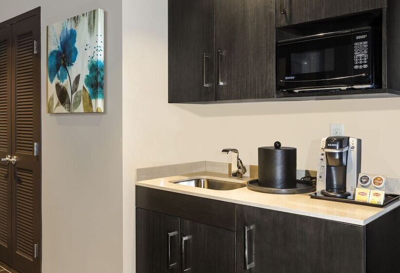 غرفة قياسية لذوى الاحتياجات الخاصة, Crowne Plaza Shenandoah   The Woodlands