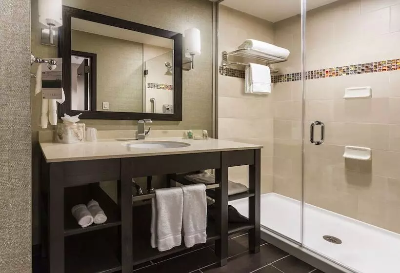スタンダードルーム, Crowne Plaza Shenandoah   The Woodlands