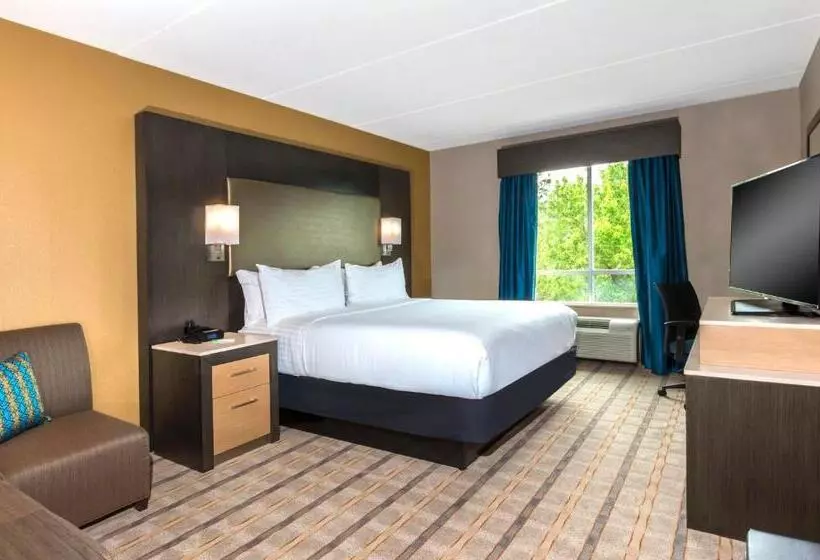 キングサイズベッドのエクゼクティブルーム, Crowne Plaza Shenandoah   The Woodlands