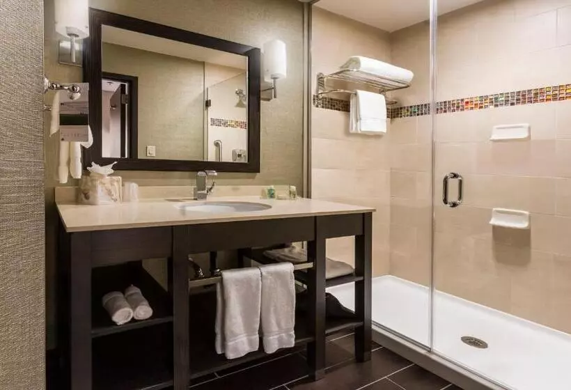 キングサイズベッドのエクゼクティブルーム, Crowne Plaza Shenandoah   The Woodlands