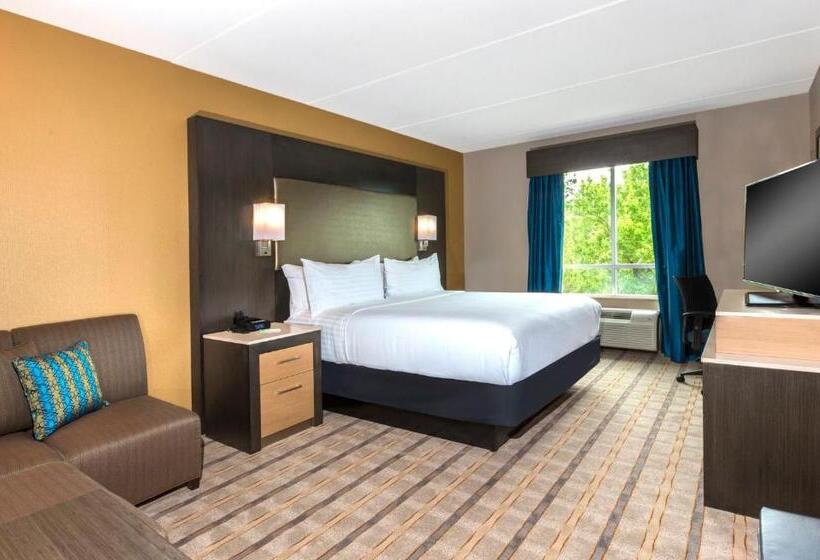 جناح سرير كينج, Crowne Plaza Shenandoah   The Woodlands