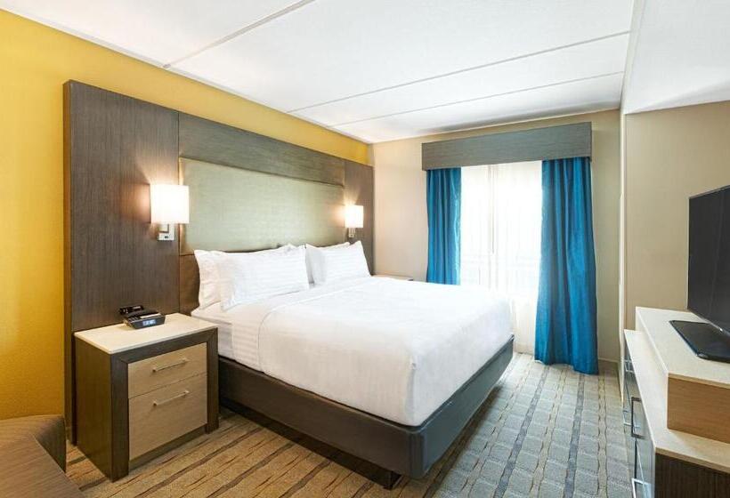 جناح سرير كينج, Crowne Plaza Shenandoah   The Woodlands