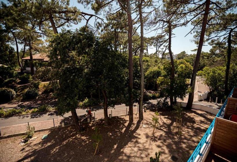 חדר דלוקס, Mercedes