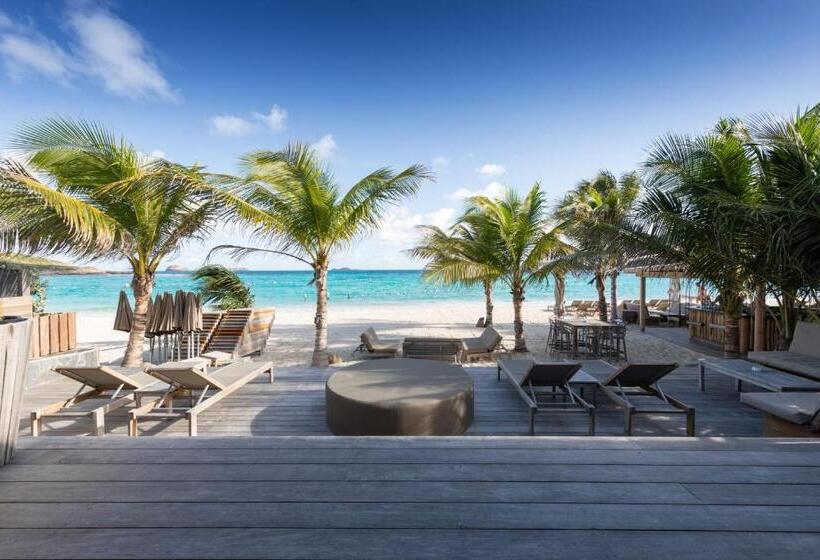 سوییت, Pearl Beach