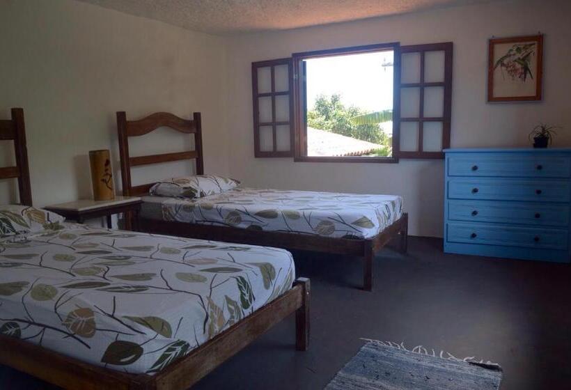 اتاق استاندارد, Casa Dos Arcos Bed And Breakfast