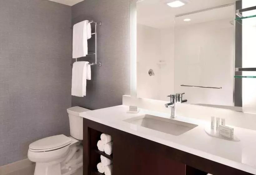 Standard-studio King-vuode, Residence Inn By Marriott Miami Airport West/doral