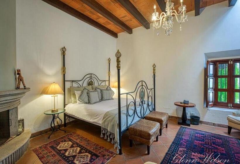 سوییت جونیور, San Rafael