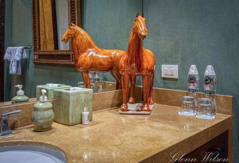 سوییت جونیور, San Rafael