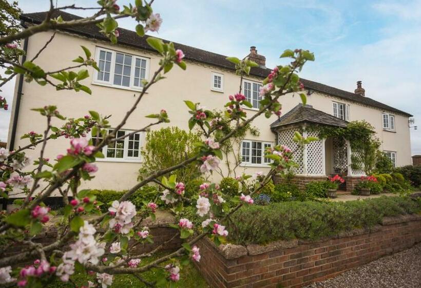 Номер Стандарт, Mulsford B&b