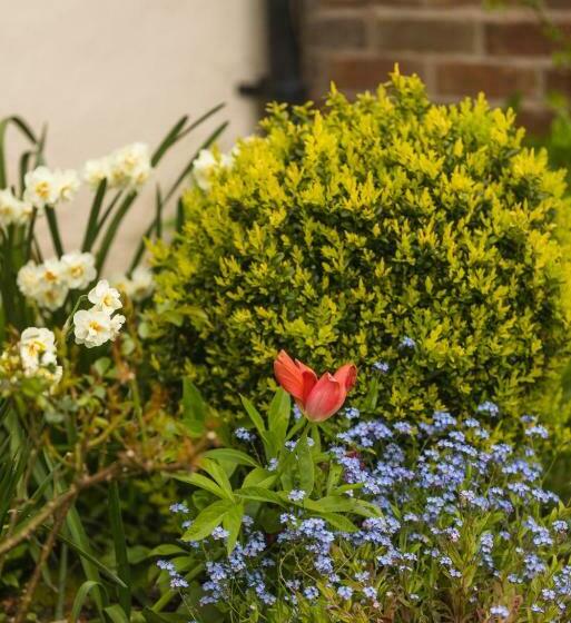 غرفة قياسية, Mulsford B&b