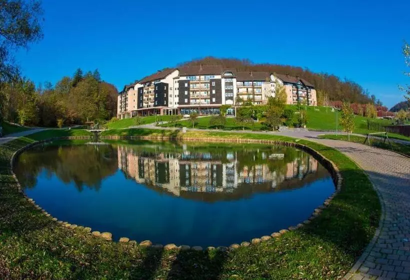 آپارتمان 1 خوابه با بالکن, Terme Olimia   Aparthotel Rosa
