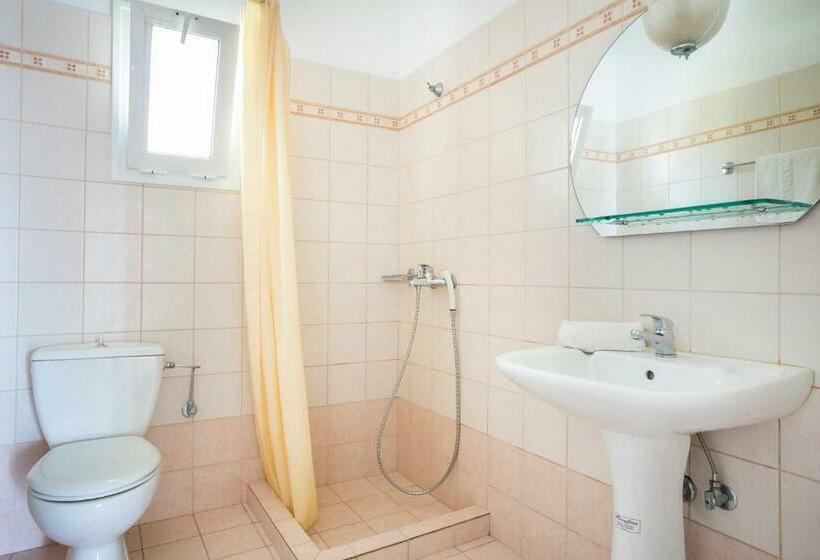 스탠다드 스튜디오, Saulas Studios