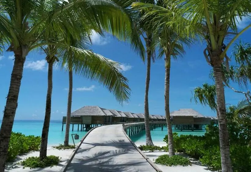 ویلای 1 خوابه, Vakkaru Maldives
