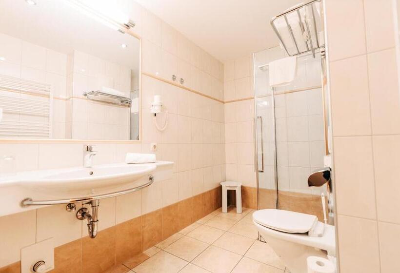اتاق استاندارد یک نفره, Post Post Hotel   Alpine Boutique Hotel & Spa
