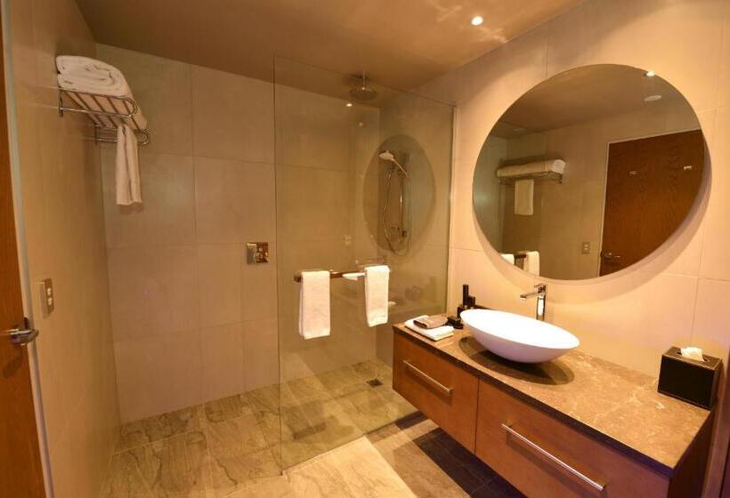 ２ベッドスイートルーム, Distinction Dunedin