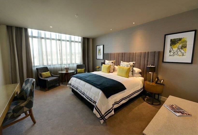 スタンダードスタジオ, Distinction Dunedin