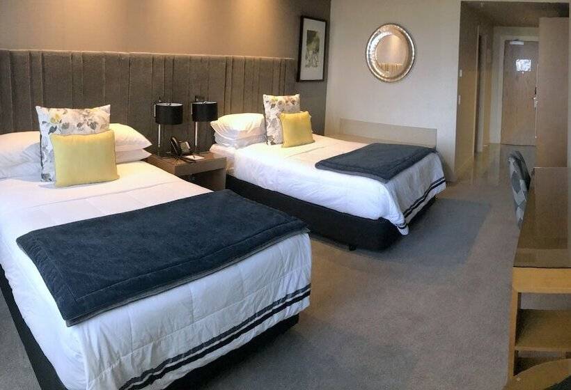 スタンダードスタジオ, Distinction Dunedin