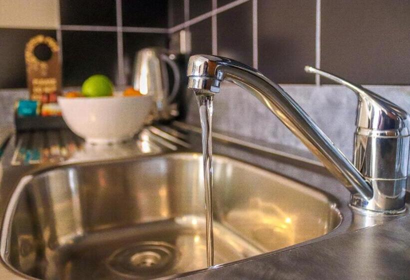 דירת אקזקיוטיב 2 חדרים, Coleraine Suites & Apartments