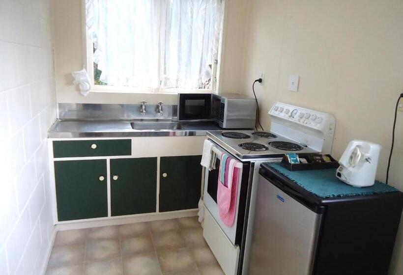 חדר סטודיו סטנדרד, Park Lodge Motel