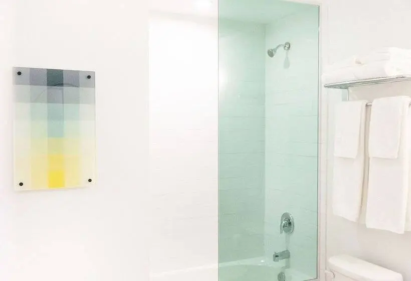 １ベッドルームアパートメント, The Laundry Rooms Augusta