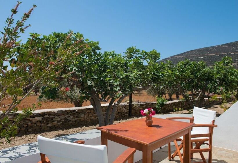 חדר דופלקס, Edem