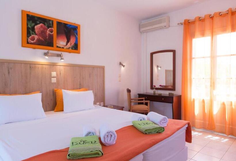 סטודיו סטנדרטי נוף לגינה, Edem