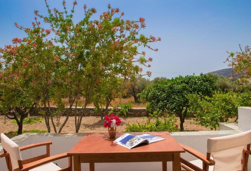 חדר סטנדרט לשלושה עם נוף לגינה, Edem