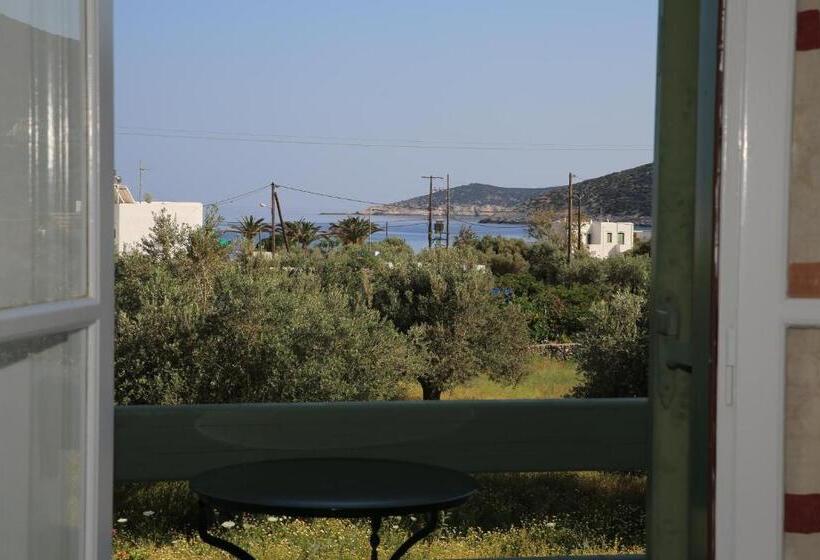 חדר דופלקס, Edem