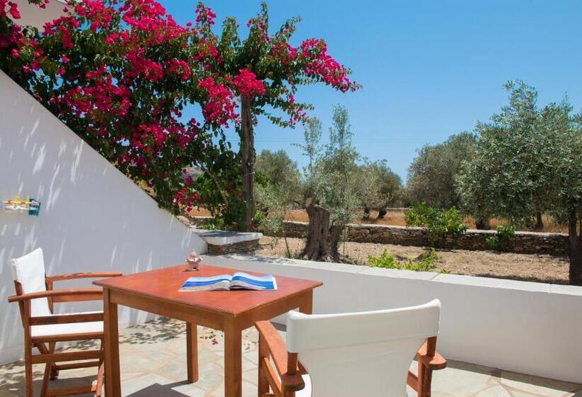 חדר דופלקס, Edem