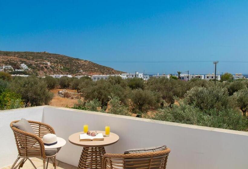 סוויטת ג'וניור, Edem